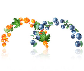 Cloudberries and blueberries with green leaves on a white background