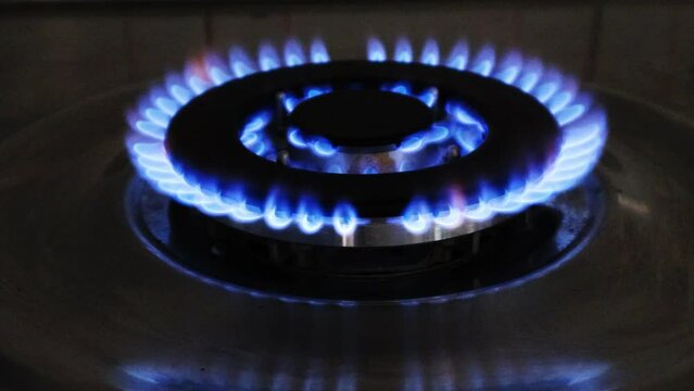 Gas cooker with burning flames of gas. Domestic kitchen with blue flames burning