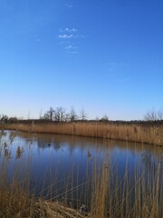 Reflections in the water. Utrecht Netherlands