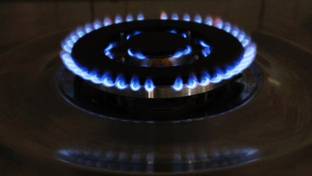 Gas cooker with burning flames of gas. Domestic kitchen with blue flames burning