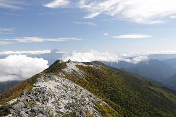 landscape in the mountains