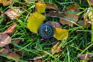 Compass on the ground with yellow leaves