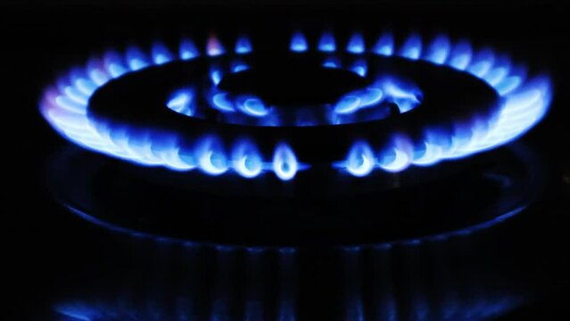 Gas cooker with burning flames of gas. Domestic kitchen with blue flames burning