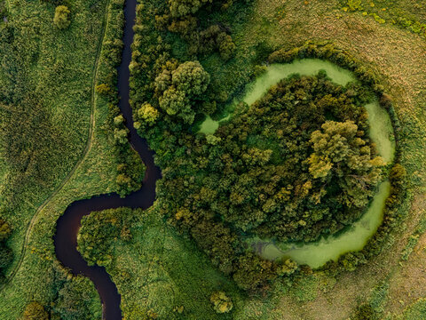 River Tanew and oxbow lake - view from drone - August 2020, Poland