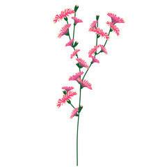 Wild Flower Icon. Hand Drawn Illustration	