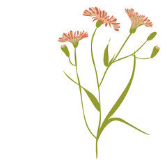 Wild Flower Icon. Hand Drawn Illustration	