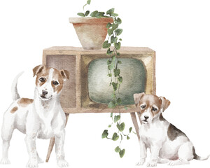 Jack russel dogs illustration