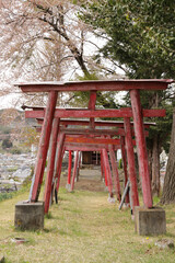 Fototapeta na wymiar japanese garden bridge