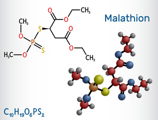 Malathion molecule. It is parasympathomimetic organophosphate used as insecticide for treatment of head lice. Structural chemical formula, molecule model.