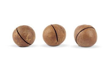 macadamia nuts on white background