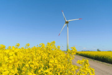Wind turbine in a rapeseed field on a sunny summer day