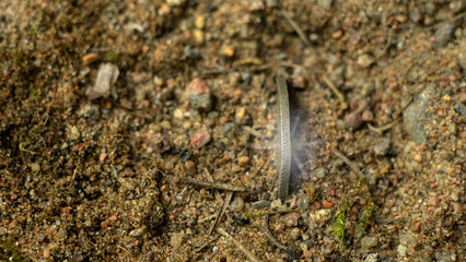 A large silver coin sticks out of the sand on the beach. Metal search in the fresh air.Search for treasure. A random find on the beach.
