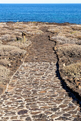 Landscape of Vertice Geodesico - Jameos del Agua - Lanzarote