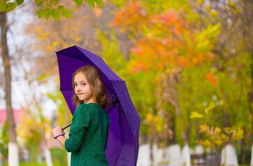 A young teenager girl walks in an autumn park under an umbrella on a rainy day. Golden autumn, yellowed trees in the park. Girl with an umbrella in a good mood happy, live style.