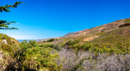 panoramic view of mountains of Big Sur, California with trees and bushes