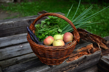 Raw vegetables assortment .