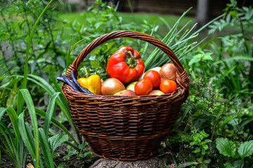 Raw vegetables assortment .