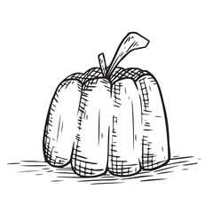 hand drawn illustration of apple