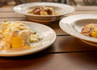 dishes with different italian pasta and types of sauce