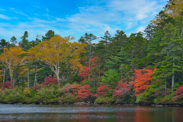 Shirakoma Pond in Nagano Japan