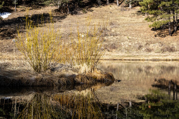 Cowles ponds in the Pecos Wilderness Area of northern New Mexico