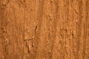 close-up of the wood texture