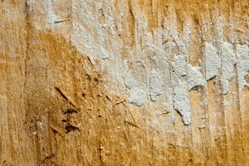 close-up of the wood texture