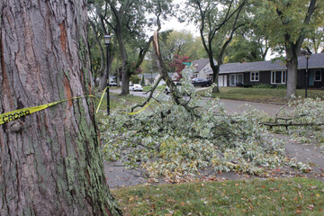storm damage with broken limbs and fallen branches in a neighborhood street