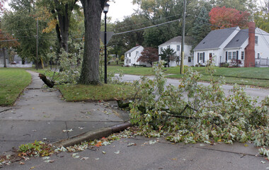 storm damage with broken limbs and fallen branches in a neighborhood street