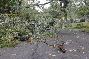 Deurstickers storm damage with broken limbs and fallen branches in a neighborhood street © MHSelfCreate