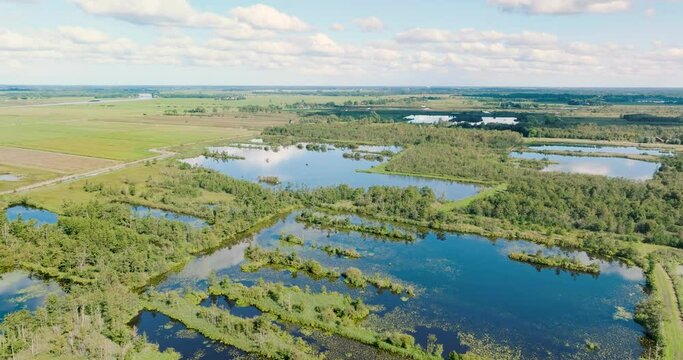 Aerial view, flying backwards, of peat swamp in national park De Alde Feanen, Earnewald, Friesland, Netherlands