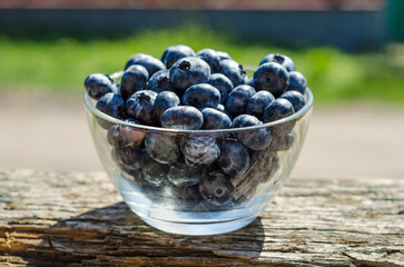 Fresh blueberry berries lie in a transparent bowl on a green background. The topic of healthy, ecological, vegan food