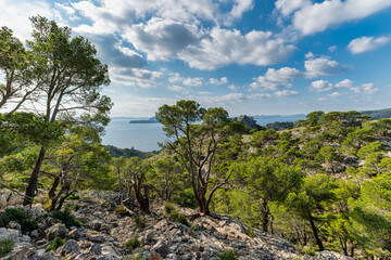 Fototapeta na wymiar Cap de Formentor - wild coast of Mallorca, Spain. Panorama view.