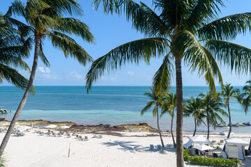 Fototapeta na wymiar Key West beach with palm trees
