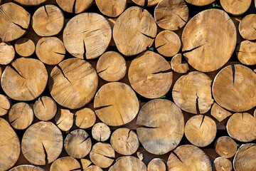 Texture of wooden logs for photo and design.