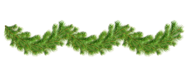 Green pine twigs in a Christmas garland isolated on transparent background