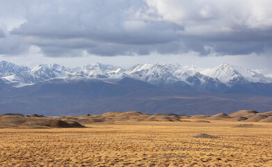 panoramic view of the snow-capped peaks of the Alai mountains and a yellow field in Kyrgyzstan