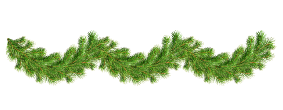 Green pine twigs in a Christmas garland isolated on transparent background