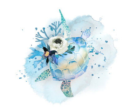 Watercolor turtle with flowers illustration. Ocean themed clipart. Under the sea wildlife design.