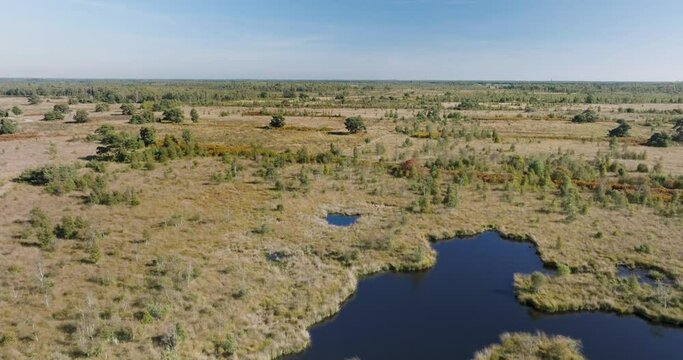 Aerial ascending view of peat bog and lakes in national park De Groote Peel, Limburg, Netherlands