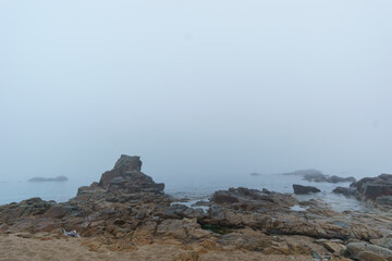Rock formation with the sea in the fog on a hazy mystic autumn morning in Sillon de Talbert area, Brittany, France