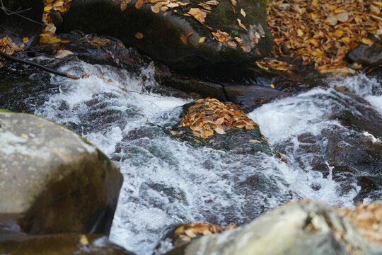 Long Exposure Of Water Running Through Stream Rocks And Leaves