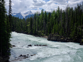 The Kicking Horse River flows towards the Canadian Rockies