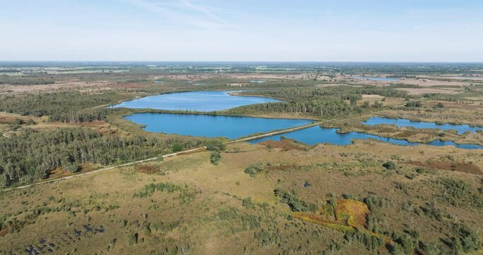 Aerial view of national park De Groote Peel with peat bog, lakes and ferns in autumn colours, Limburg, Netherlands