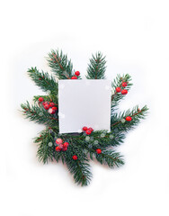 Fototapeta na wymiar White paper square shaped sheet with fir spruce branches and red berries. Christmas New Year background. Greeting card. Minimal, nature, eco concept. Mockup, space for text.