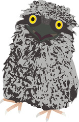 frogmouth bird illustration