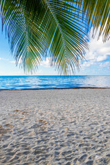 Obraz na płótnie Canvas Tropical beach turquoise water palm trees Playa del Carmen Mexico.