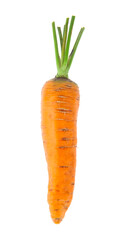 Carrot isolated on white background.