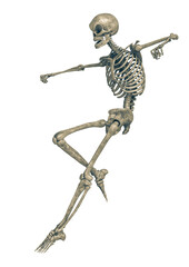 skeleton is landing in a white background