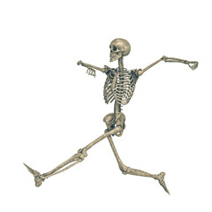 skeleton in a white background doing a happy run